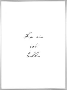 Cadre argenté