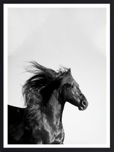 Cadre Noir