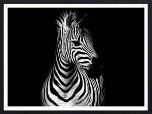 Cadre Noir