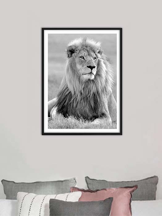 Tableau décoratif Portrait lion — DesignTab Tunisie