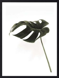 Cadre Noir