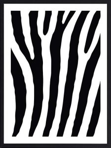 Cadre Noir