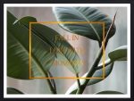 Fall In Love — tableau décoratif mural | DesignTab
