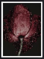 Red Poppie — tableau décoratif mural | DesignTab