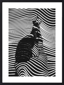 Cadre Noir