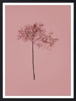 Pissenlit gracile — tableau décoratif mural | DesignTab