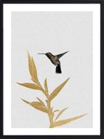 Tableau Hummingbird Flower, colibri et fleur sur fond clair, encadré sous verre
