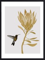 Tableau Hummingbird Flower 2, colibri et fleur sur fond clair, encadré sous verre