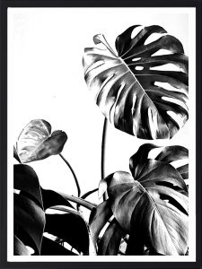 Cadre Noir