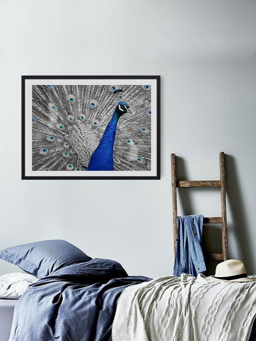 Tableau décoratif Paon bleu — DesignTab Tunisie