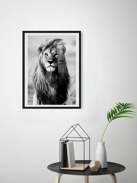 Tableau décoratif Tigre noir et blanc — DesignTab Tunisie