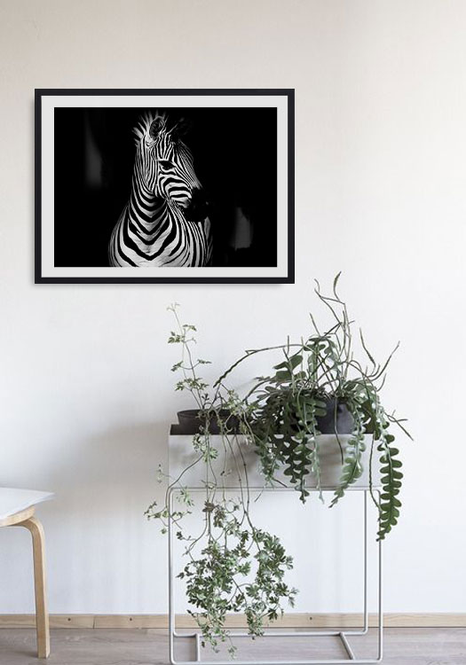 Tableau décoratif Zèbre noir et blanc — DesignTab Tunisie