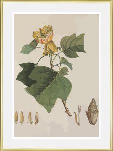 Cadre doré