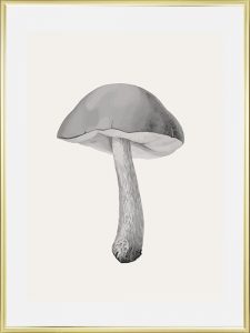 Cadre doré