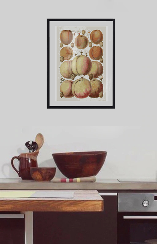 Tableau décoratif Apricot — DesignTab Tunisie