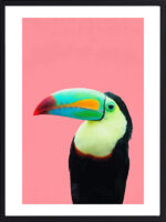 Toucan — tableau décoratif mural | DesignTab