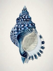 Cadre argenté